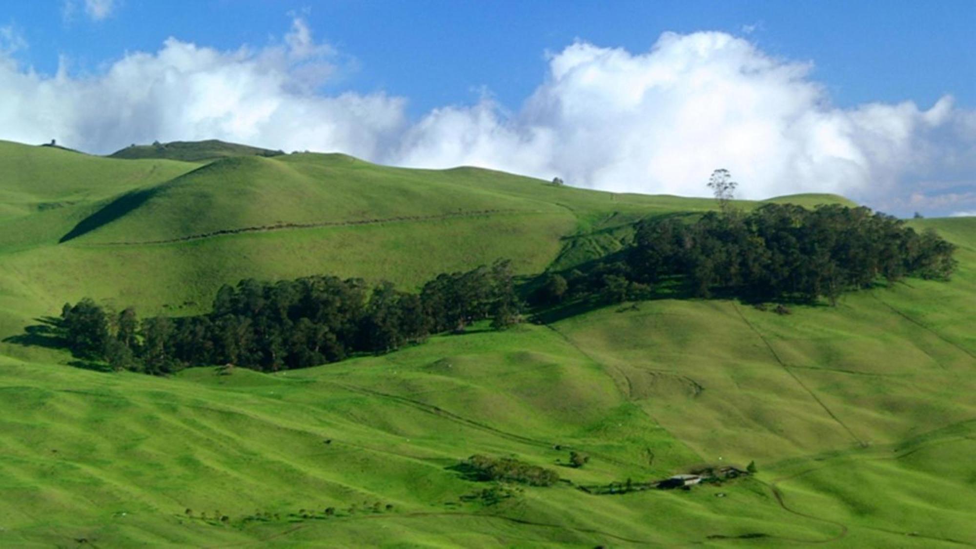 カハナ Paki Maui 424ヴィラ エクステリア 写真