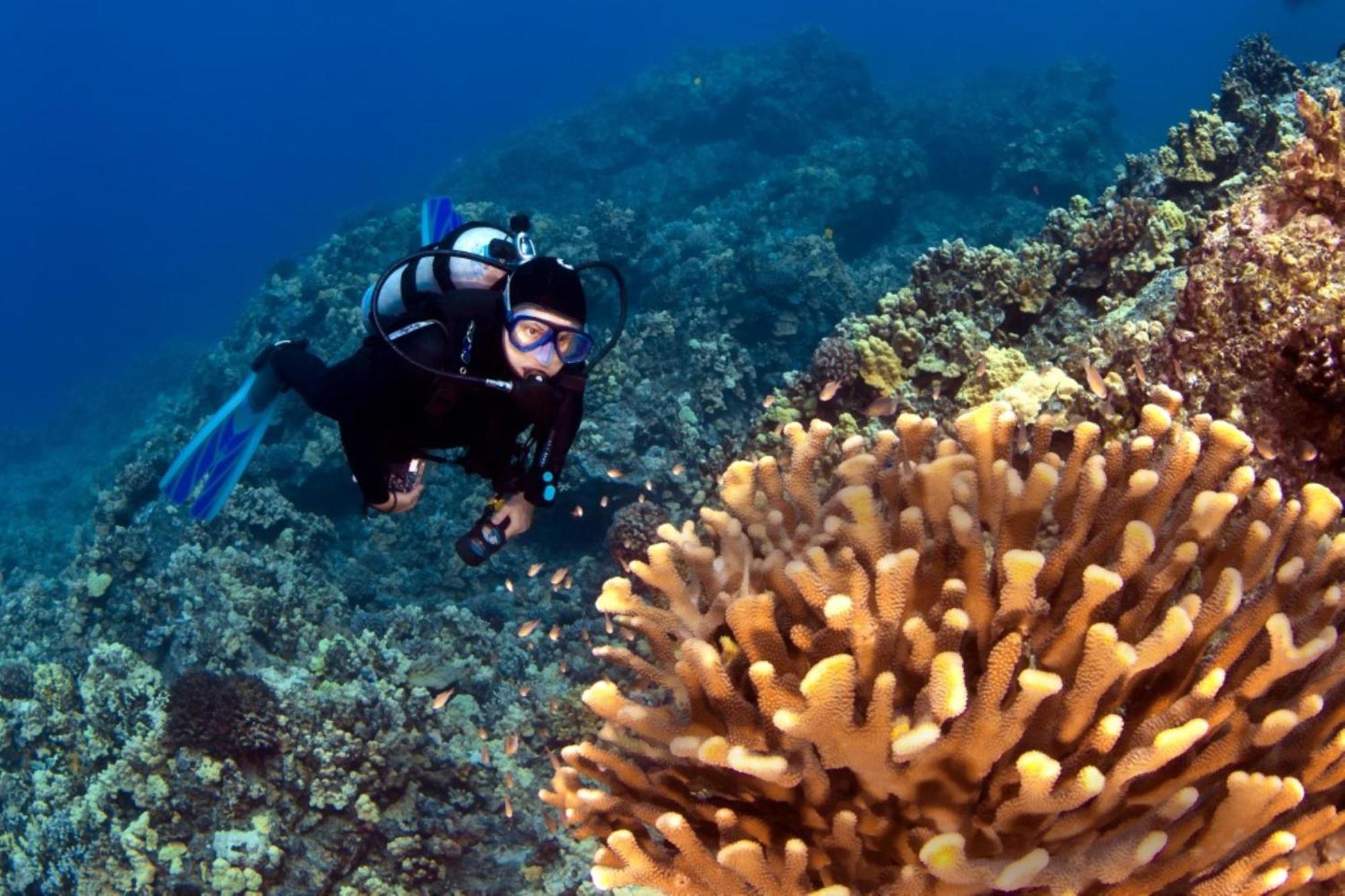 カハナ Paki Maui 424ヴィラ エクステリア 写真